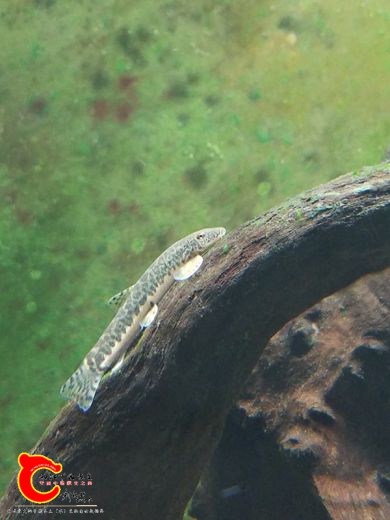 20170529_205758.jpg