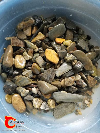20170530_134854.jpg