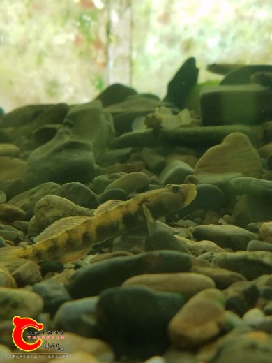 20170531_080243.jpg