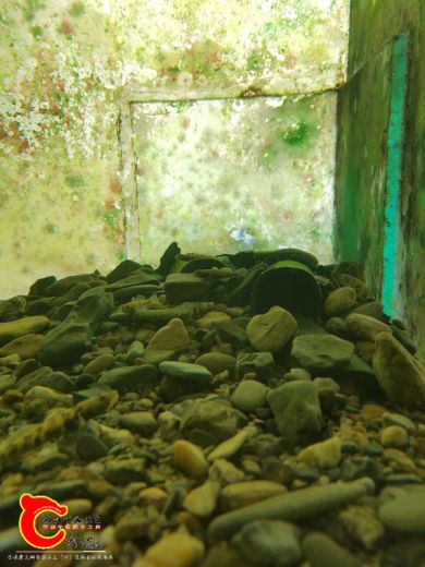 20170531_080253.jpg
