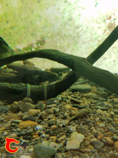 20170531_080304.jpg