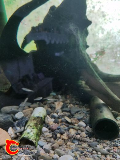 20170531_080323.jpg