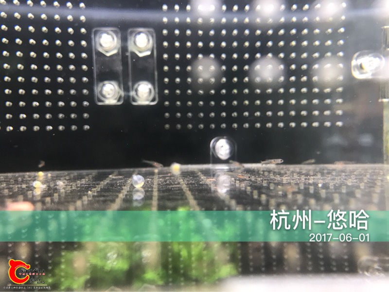 114559zvm99n966uouqllv.jpg