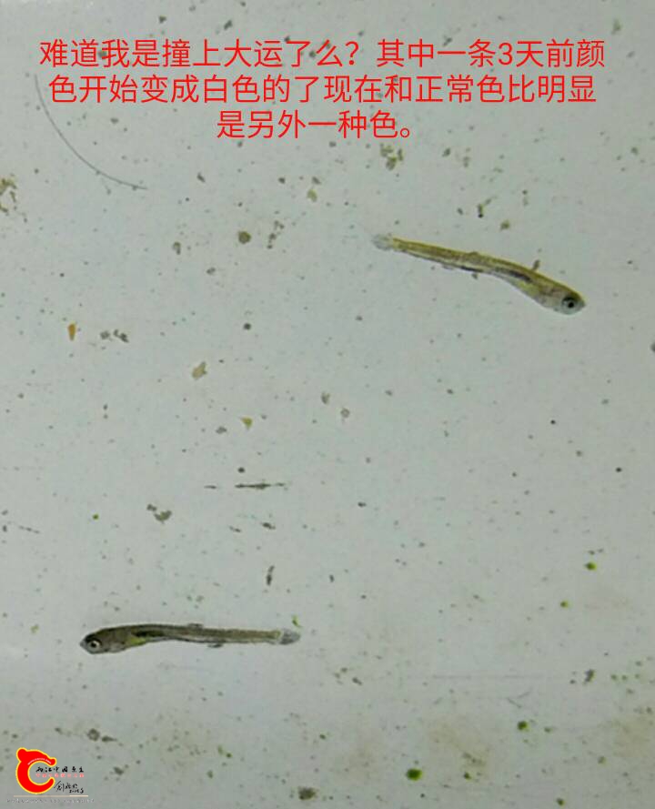 104457kfxyz7p03uigqy71.jpg