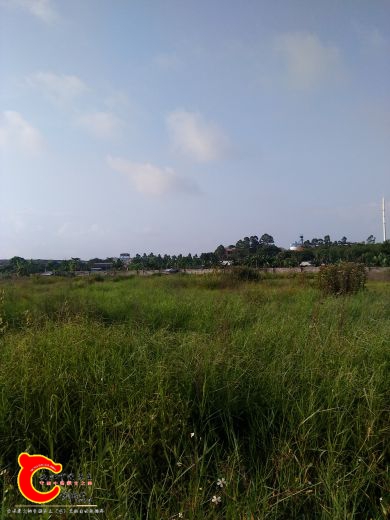 湿地还算大，以前是稻田和菜园.jpg