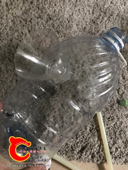 140554rcnkejatjtljrn4a.jpg