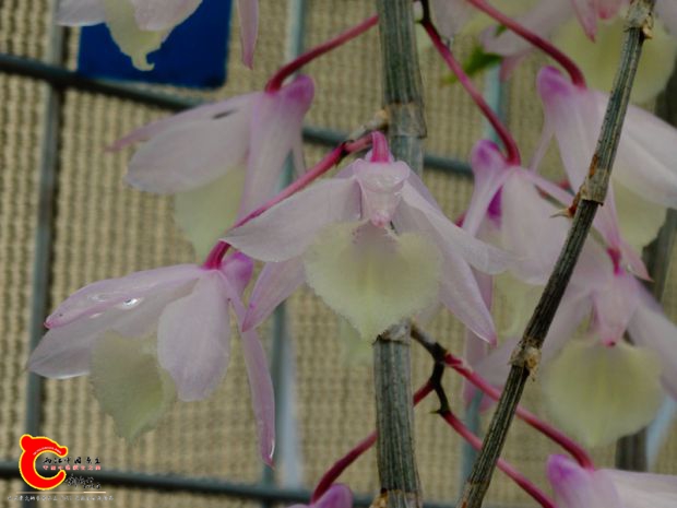 DSC04284.JPG