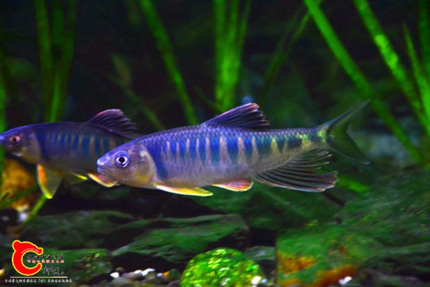 DSC_3275.JPG