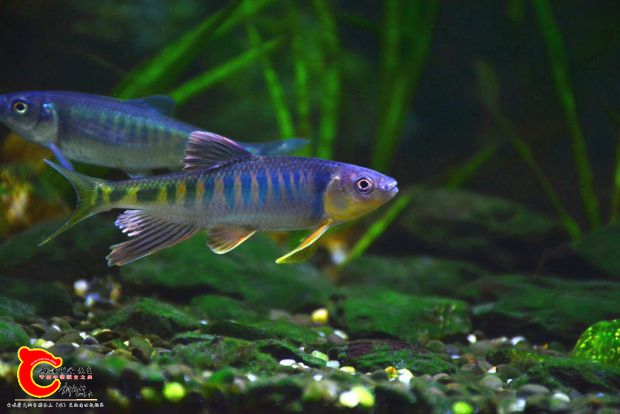 DSC_3281.JPG