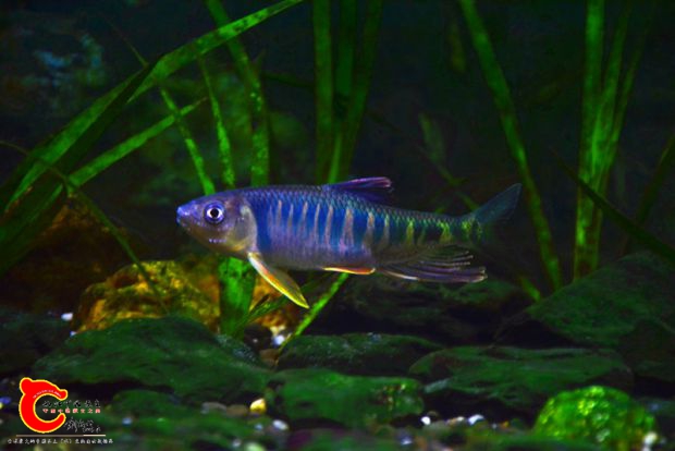 DSC_3283.JPG