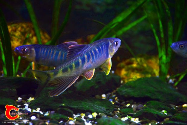 DSC_3288.JPG
