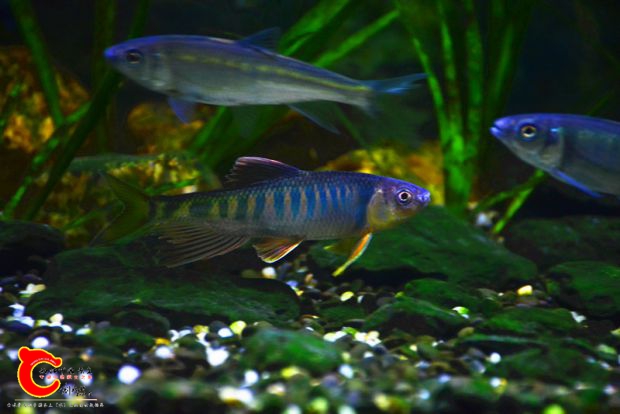 DSC_3294.JPG