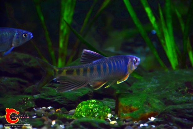 DSC_3296.JPG