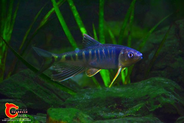DSC_3297.JPG