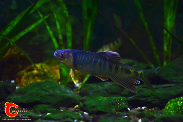 DSC_3298.JPG
