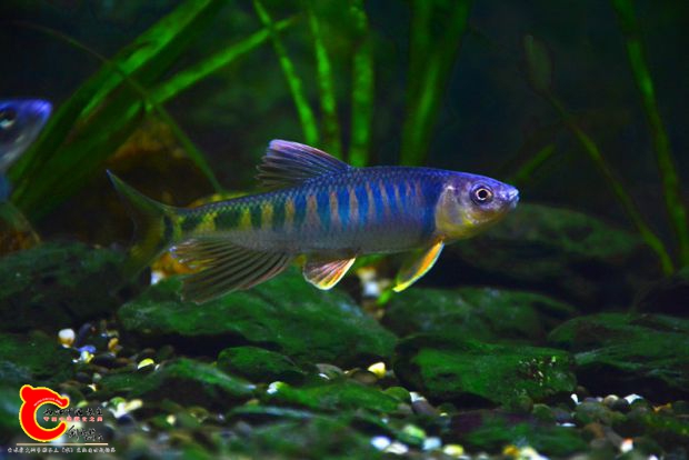 DSC_3299.JPG