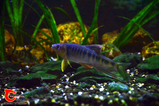 DSC_3301.JPG