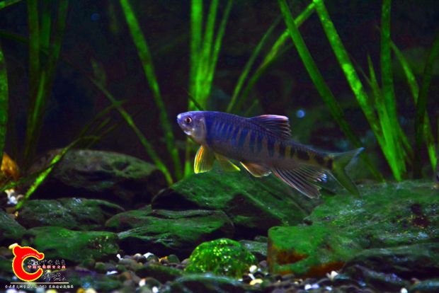 DSC_3304.JPG