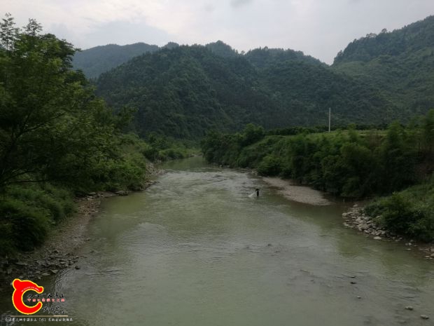 胖头吻野采地2.jpg