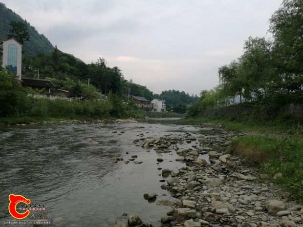 胖头吻野采地环境.jpg