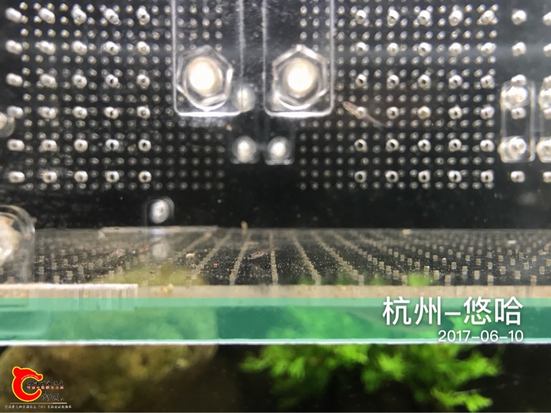 180008fvyxvaanz9411r3a.jpg