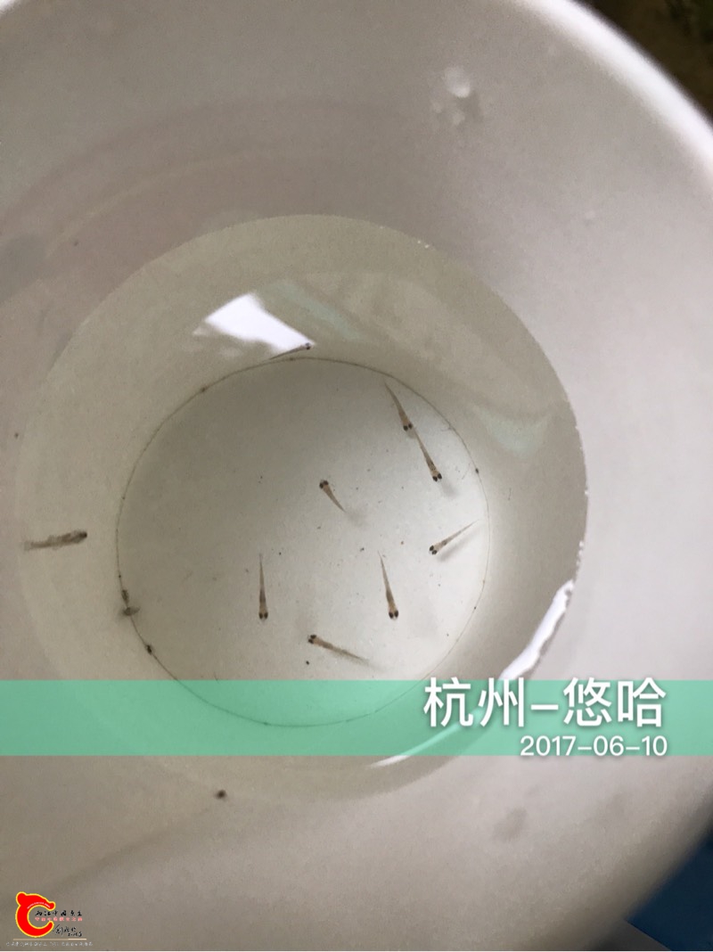 182644f5qo25qr13932nph.jpg