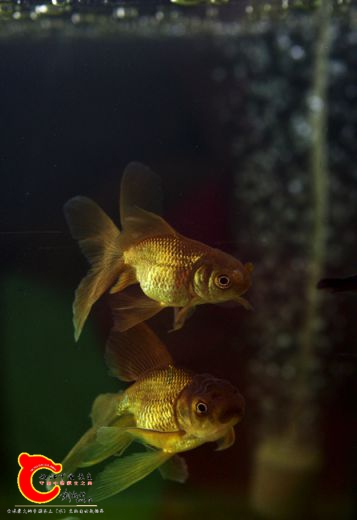 IMG_7967.jpg