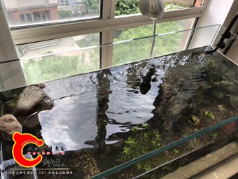 130939gw42ibf2fcj7477c.jpg