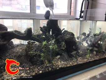 131008vk94hiyiyvixi7c4.jpg