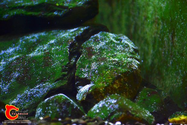 DSC_3326.JPG