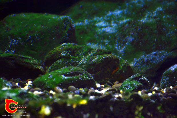 DSC_3330.JPG