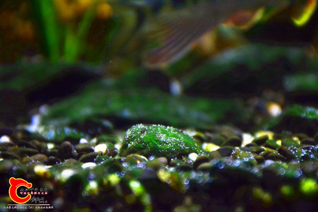 DSC_3332.JPG