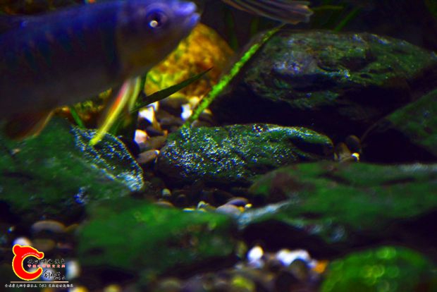 DSC_3336.JPG
