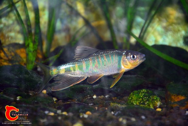 DSC_3307.JPG