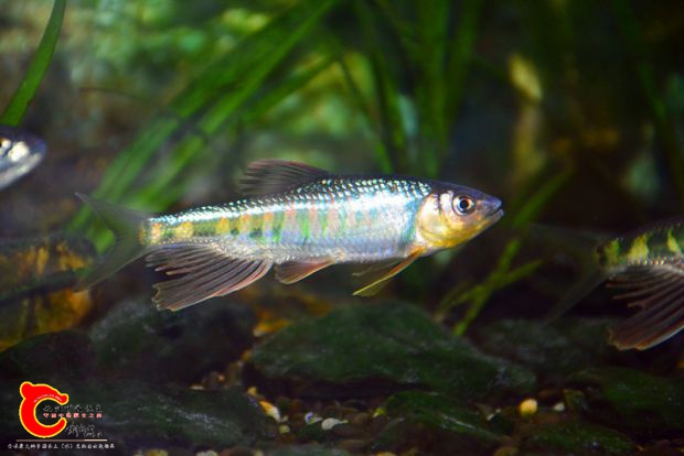 DSC_3308.JPG