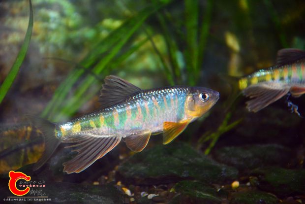 DSC_3311.JPG