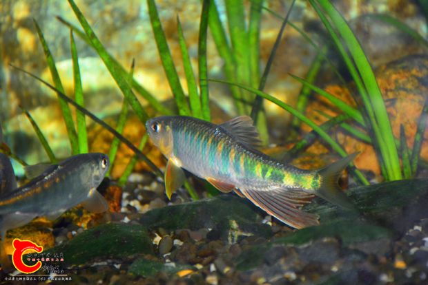 DSC_3315.JPG