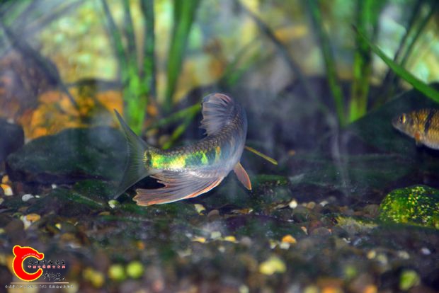 DSC_3316.JPG