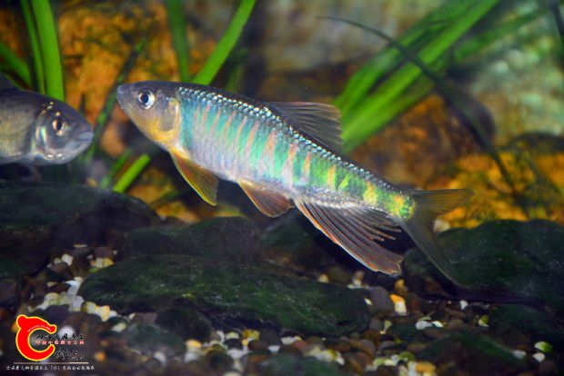 DSC_3321.JPG