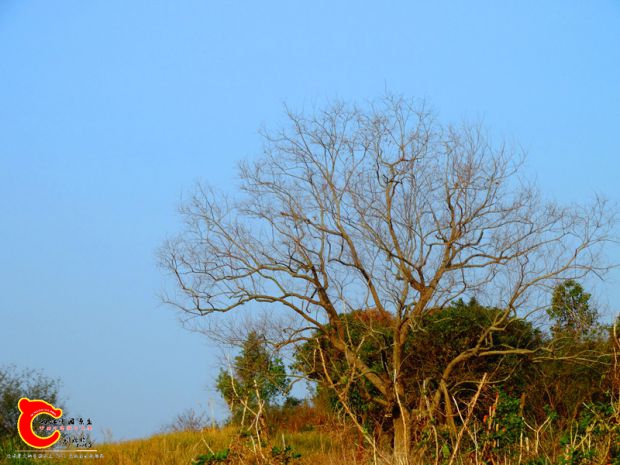 DSC03803.JPG