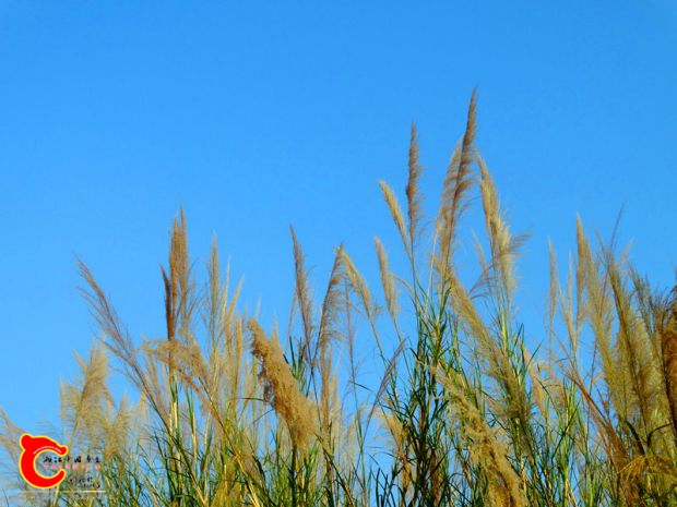DSC03805.JPG