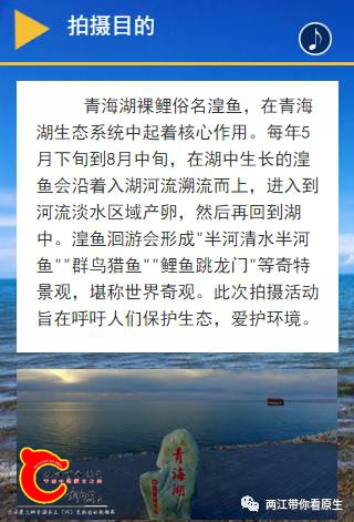 92a4d534ed5dd2080e837e22c7964a20.jpg
