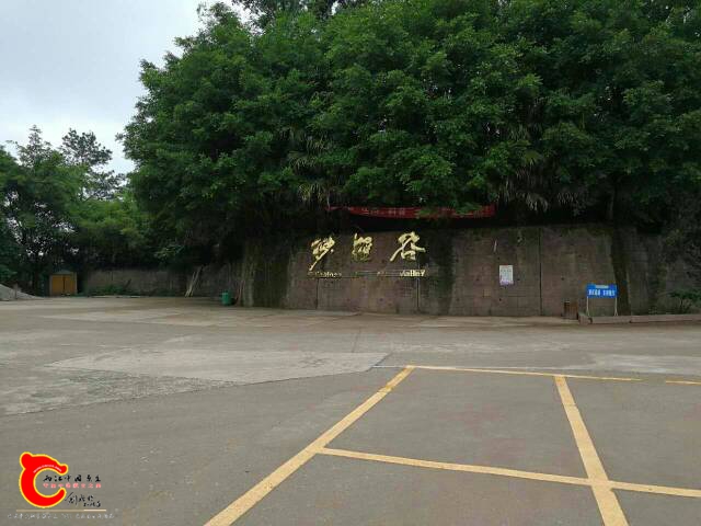 132357cu385zu8aa88wudx.jpg