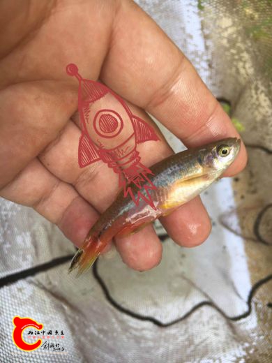 1498023452_IMG_5310_meitu_5.jpg