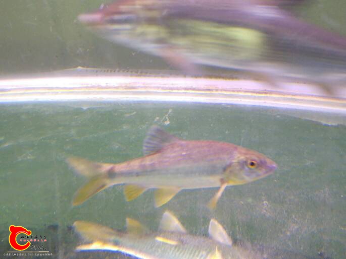 102053o868wmjrfwrjp6pr.jpg