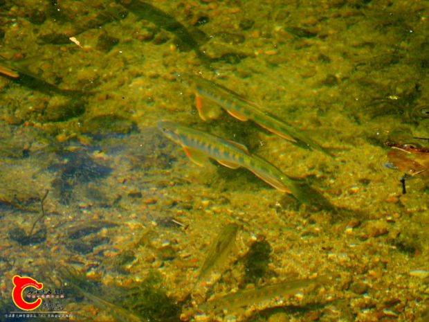 DSC04361.JPG