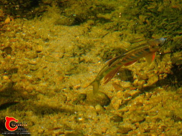 DSC04366.JPG