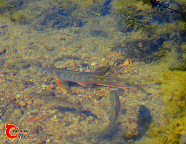 DSC04370.JPG