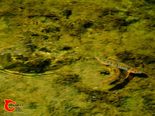 DSC04377.JPG