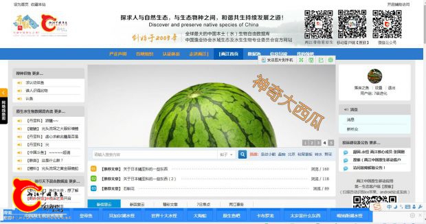 登陆两江首页.jpg
